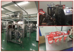 自动化包装解决方案 调味品全自动包装机的优势与市场应用
